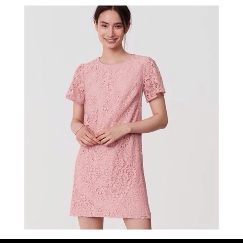 Ann Taylor lace flutter sleeve dress (periwinkle)